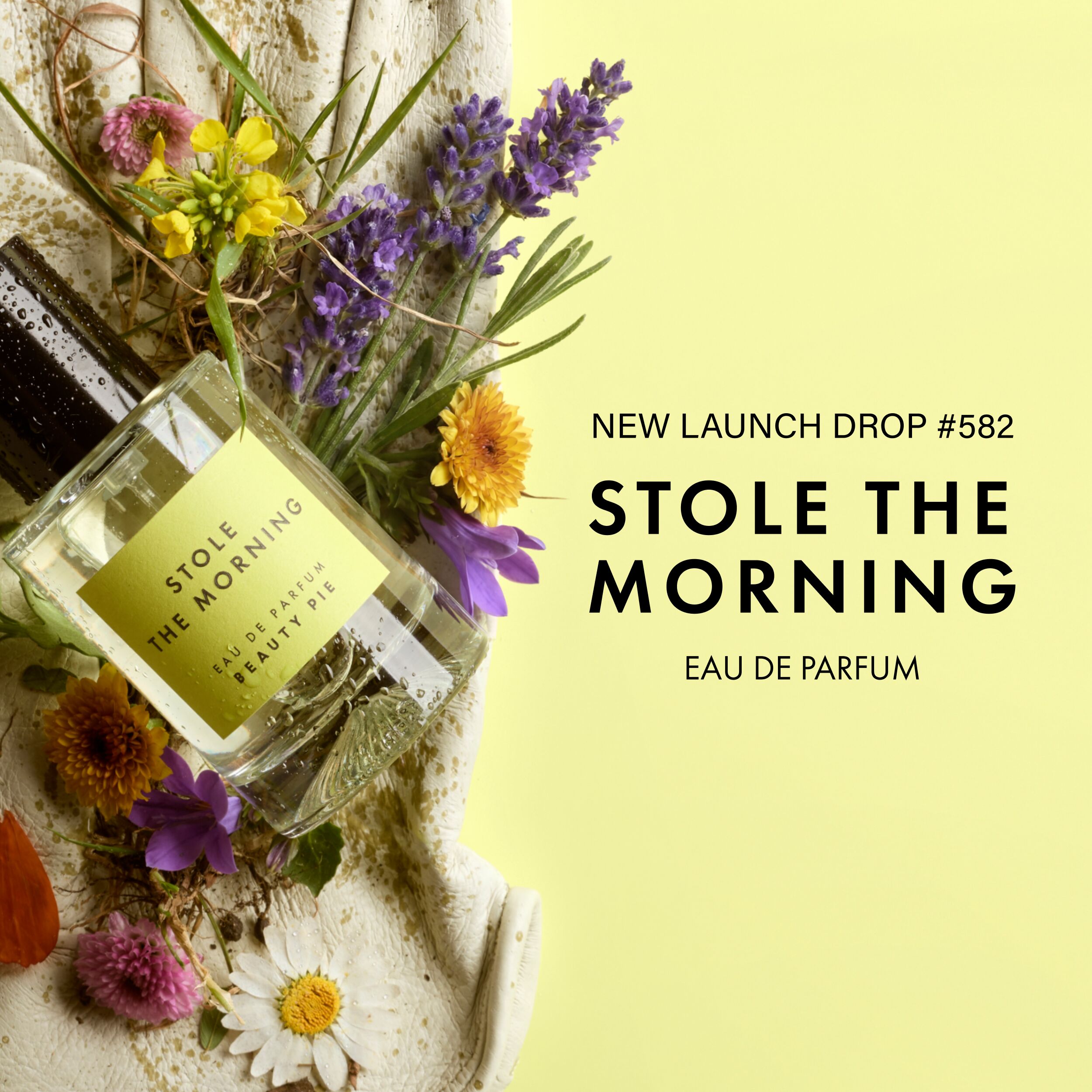 stole-the-morning-plp-tile-desktop.jpg