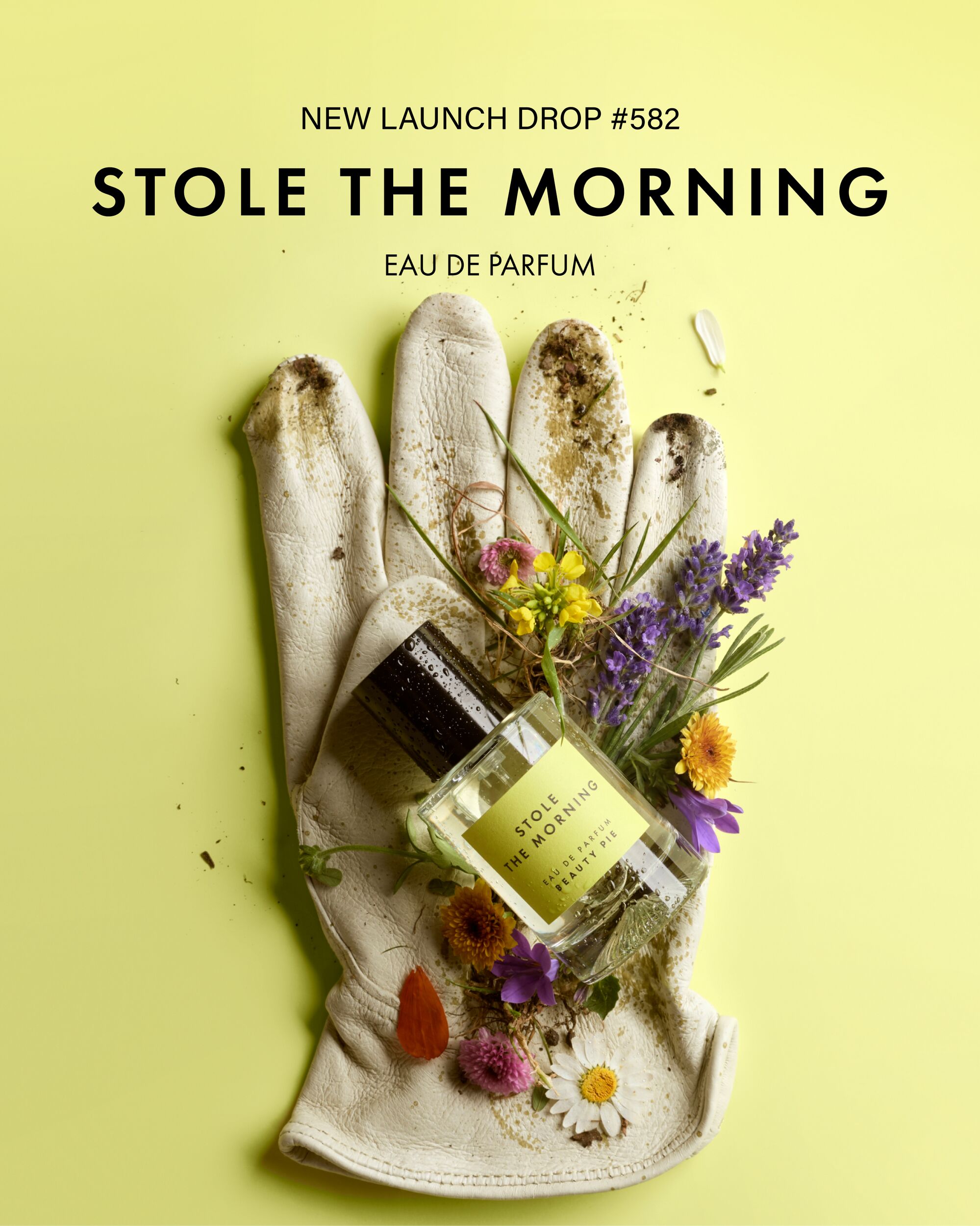 stole-the-morning-plp-tile-mobile.jpg