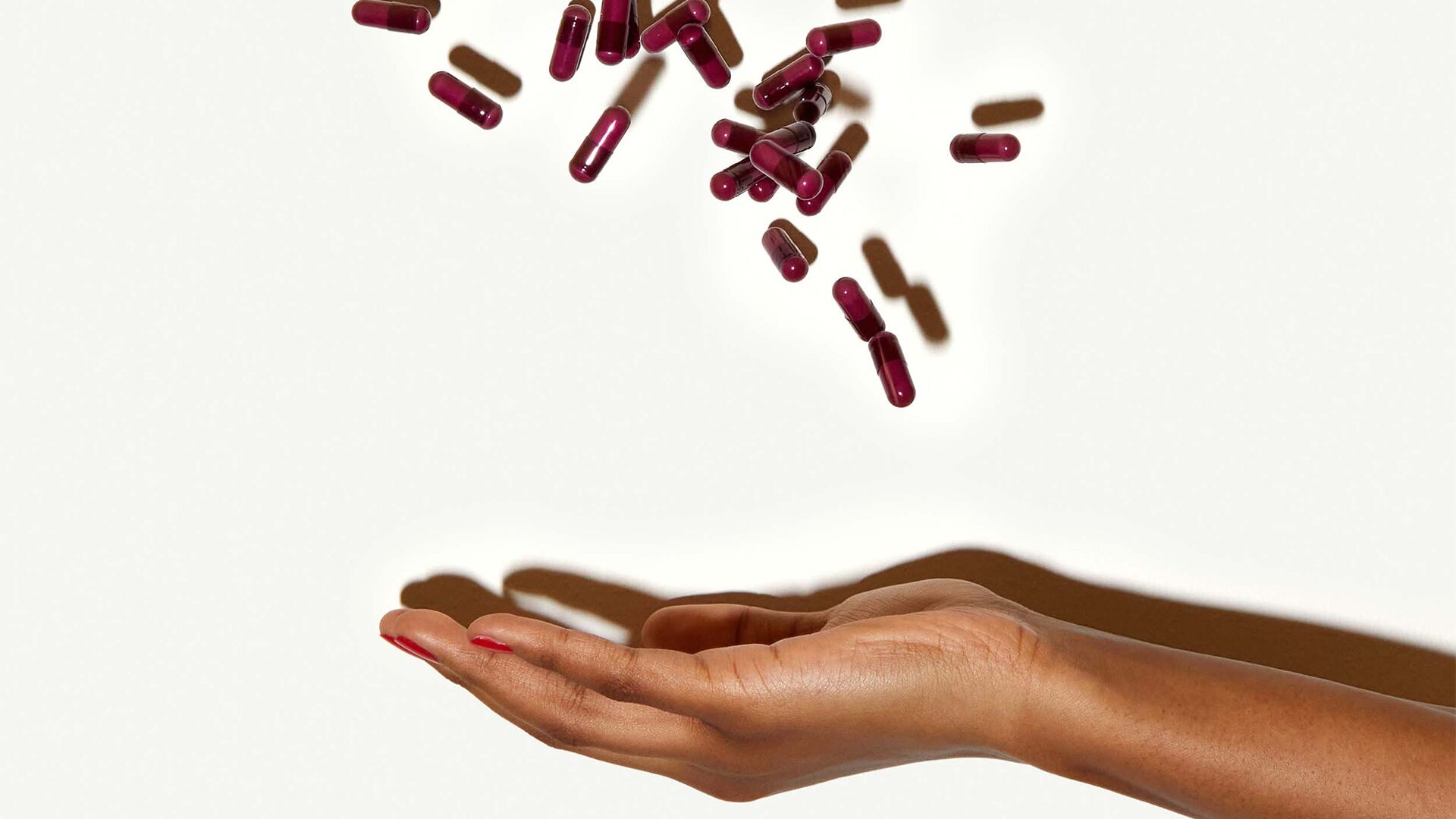 Supplement Guide