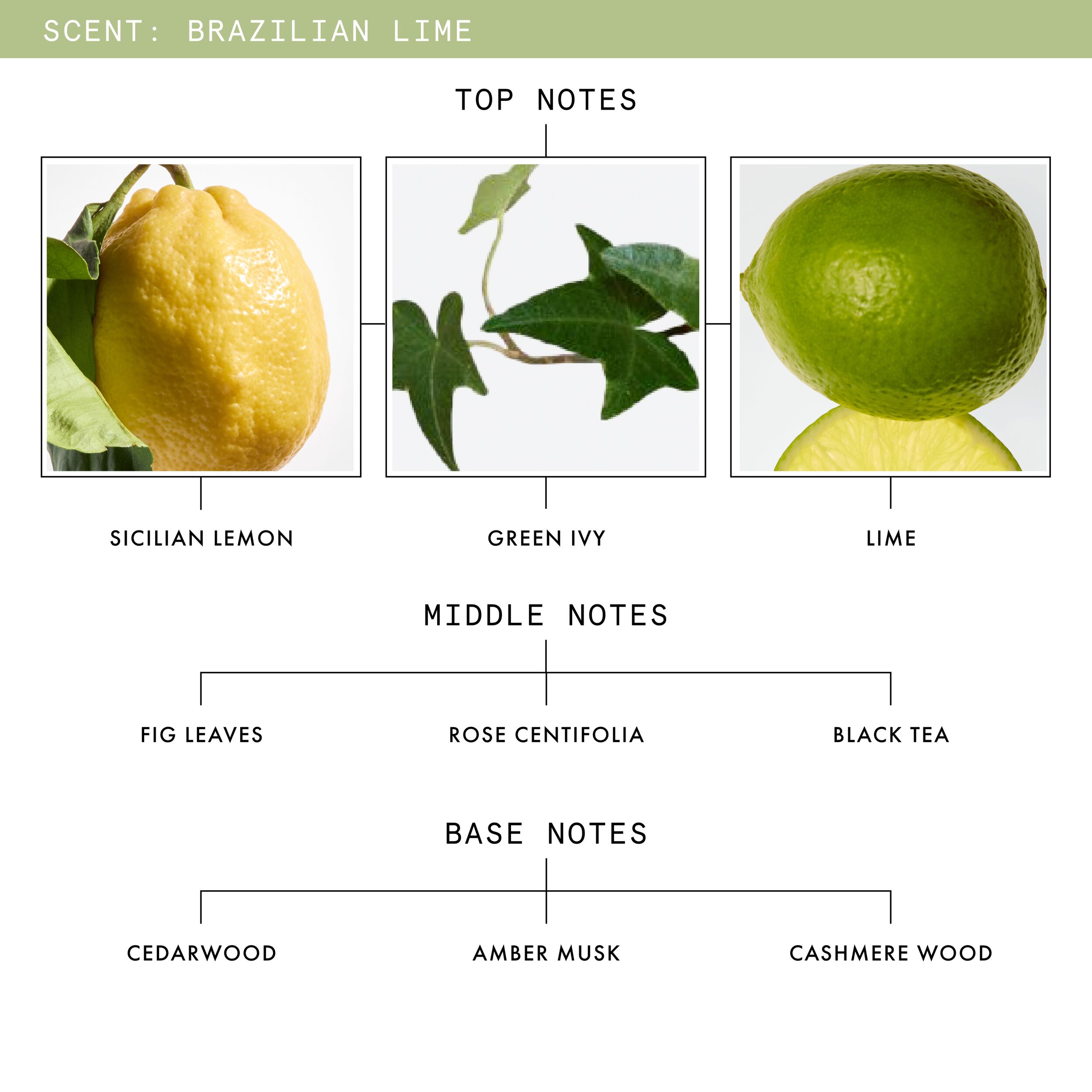 Fragrance Discovery Set - Brazilian Lime