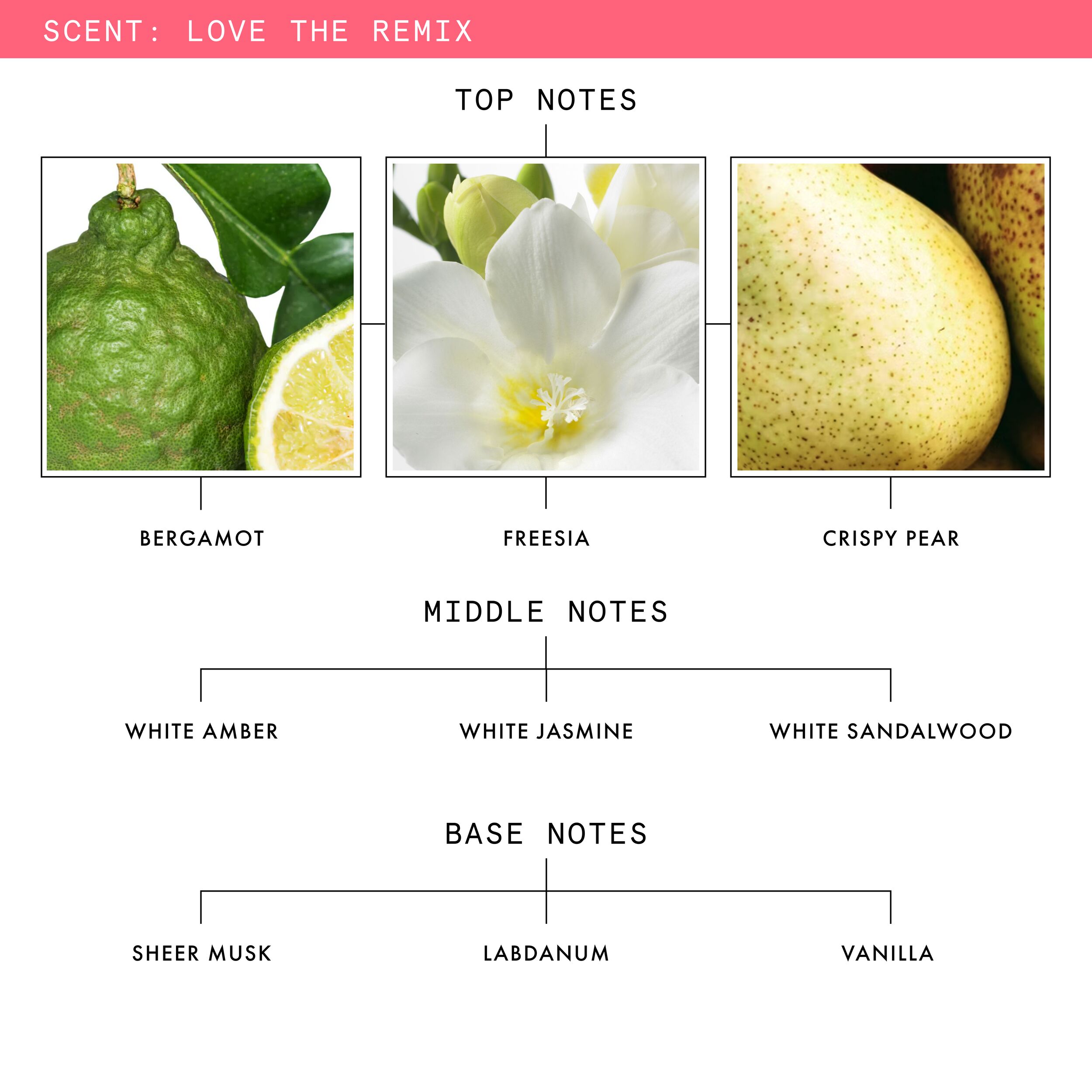 Orange Absolute Fragrance Discovery set - PDP