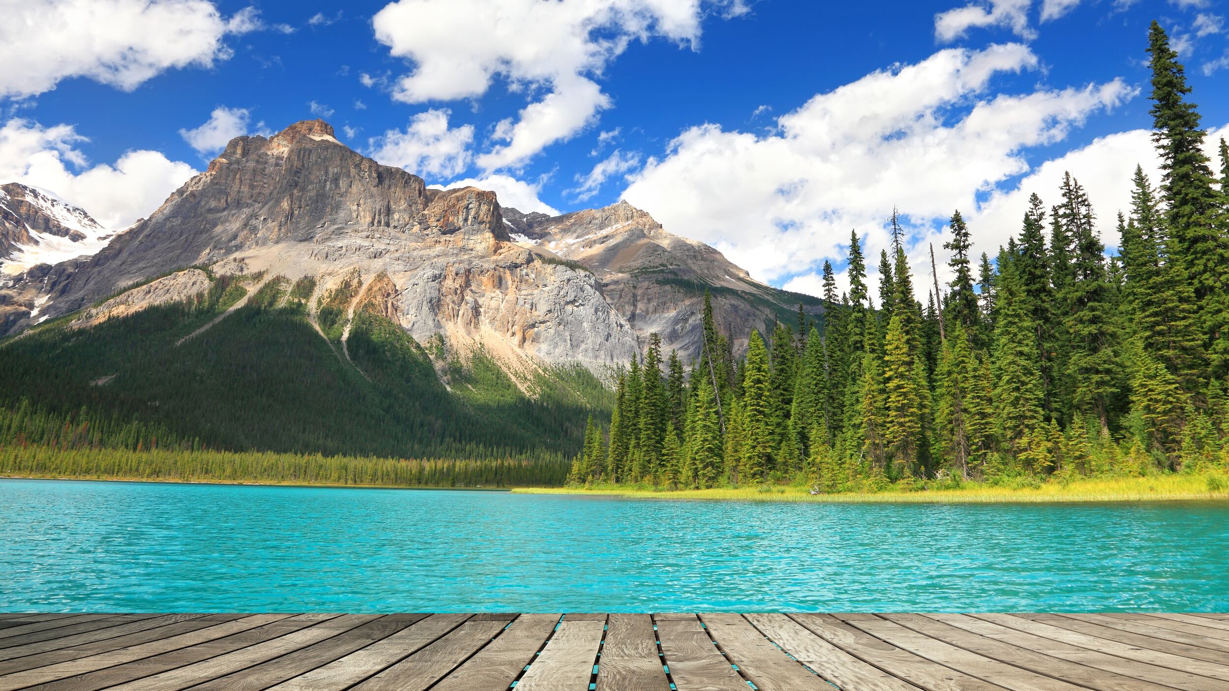 blog-detox-hero.jpg Hero blog image - detox lessons