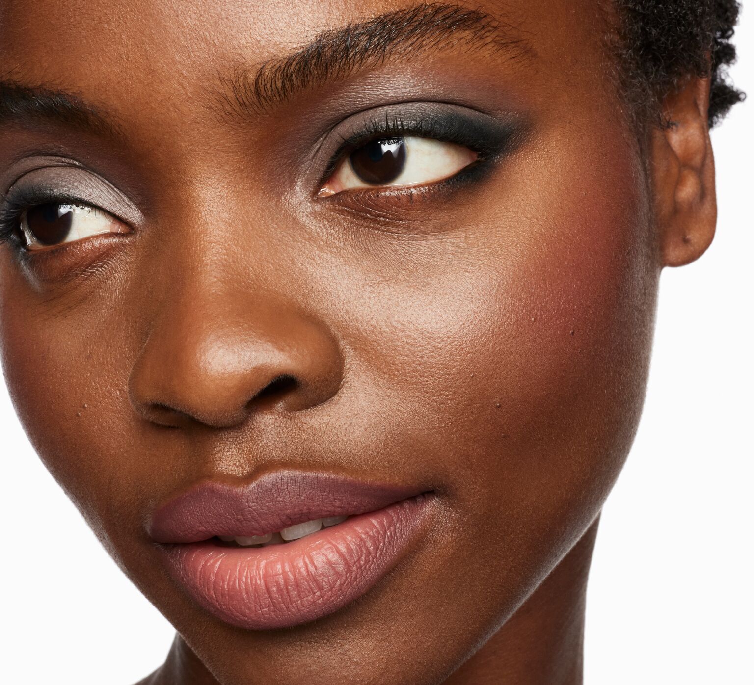 Modern Rose Sam C Modern Rose Sam C