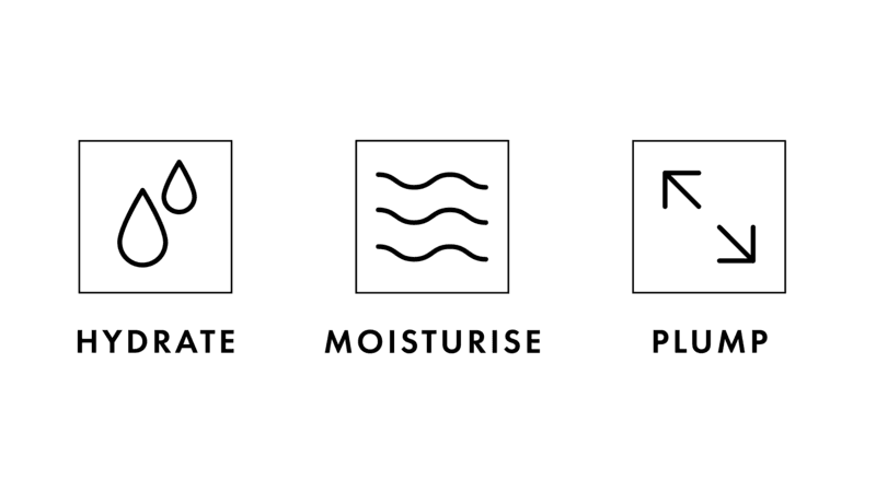 Hydrate Moisturise Plump Infographic