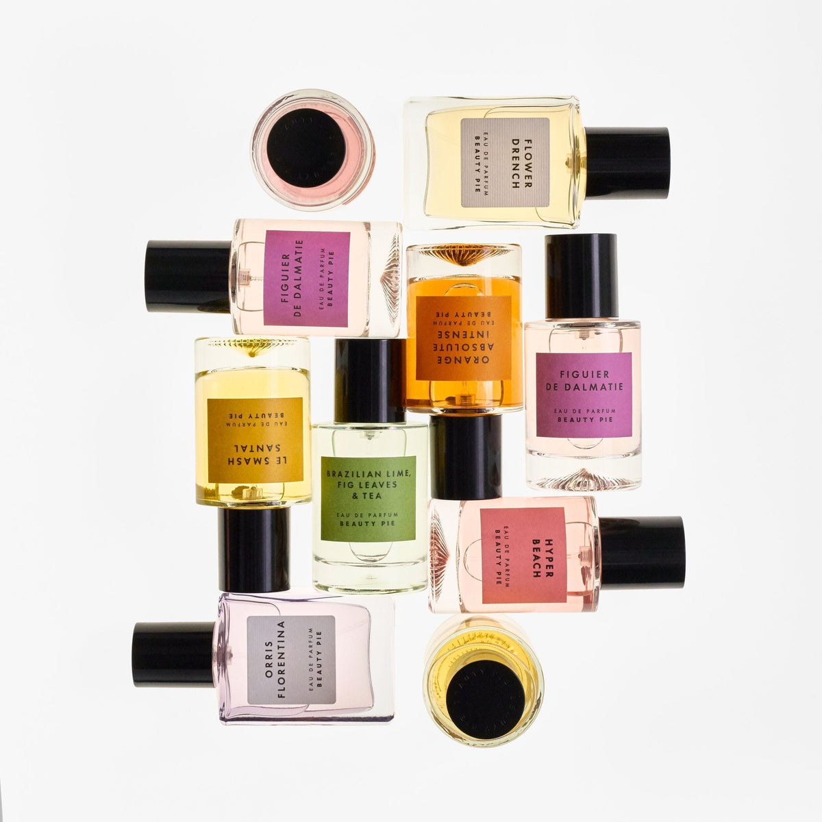 October Member News: Perks, Launches, Reminders