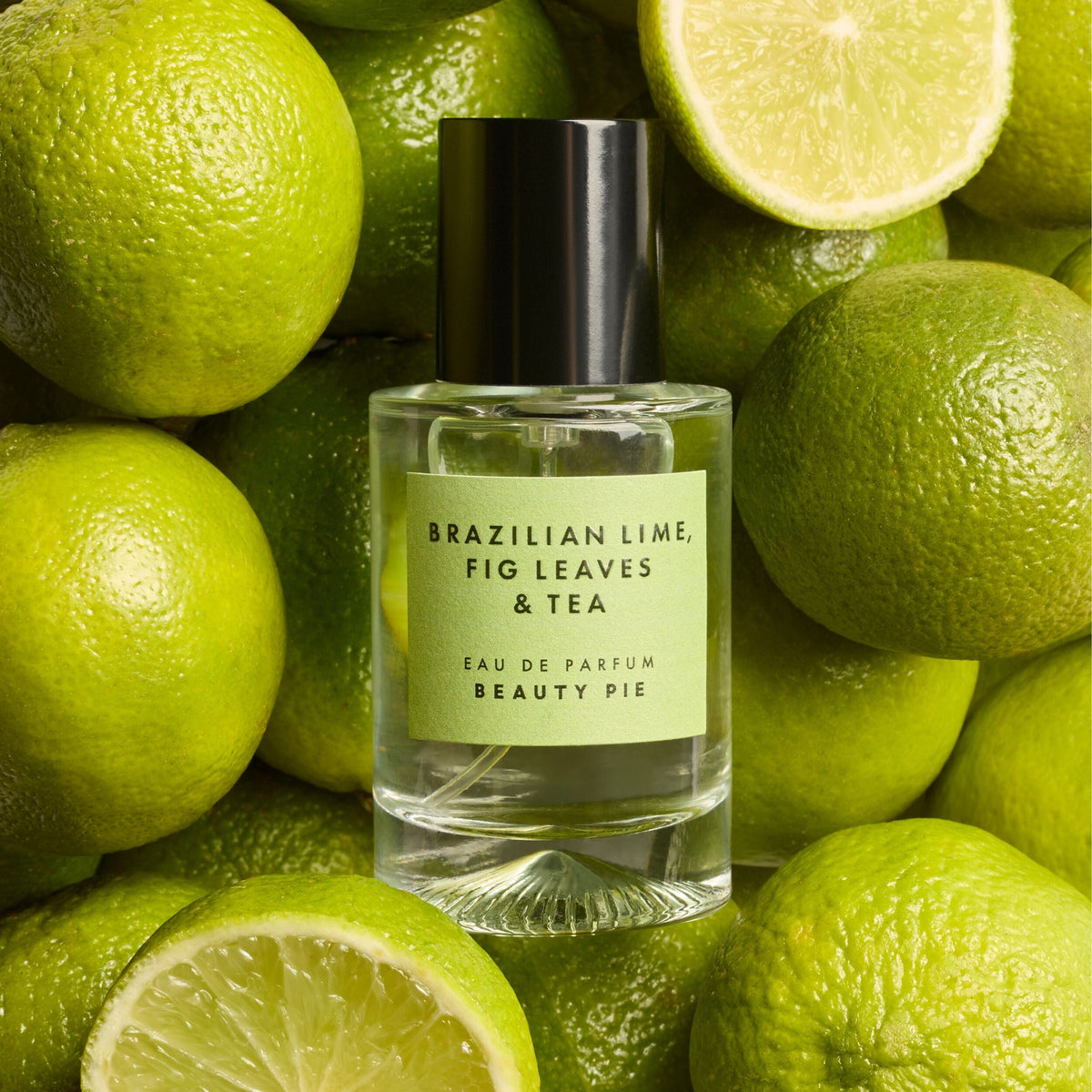 Fragrance & Lifestyle