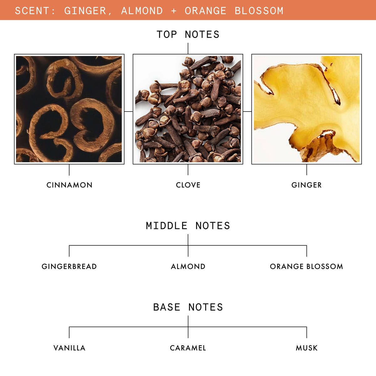 GINGER_ALMOND_ORANGE_BLOSSOM_CANDLE_SKU_PDP_1X1_ECOM_NOTES_2025_WEB