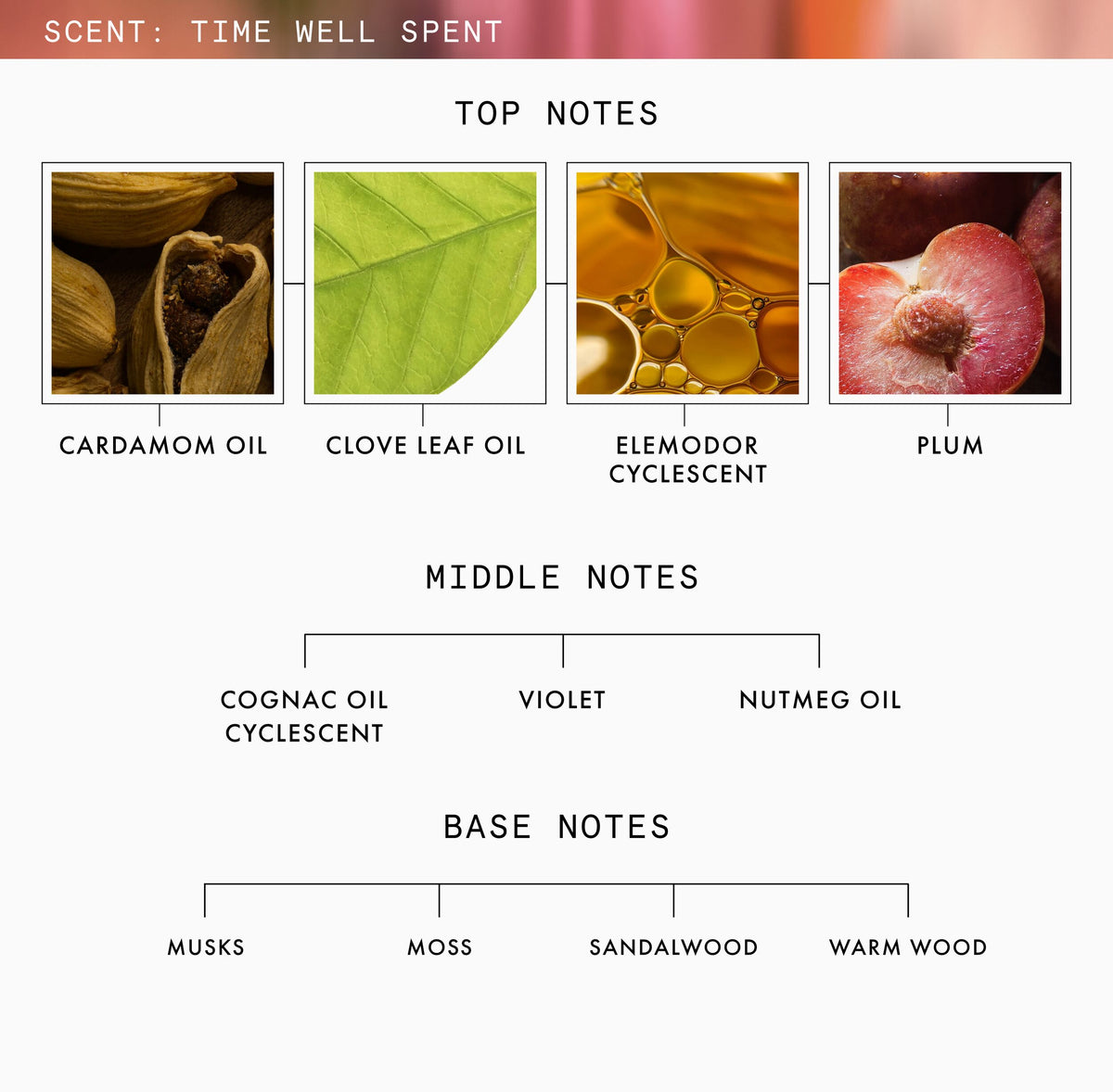 JULY2026_BPxReenaSimon_Candle_TIME-WELL-SPENT_80539_PDP_ECOM_1X1_FRAGRANCE-NOTES_2026_WEB