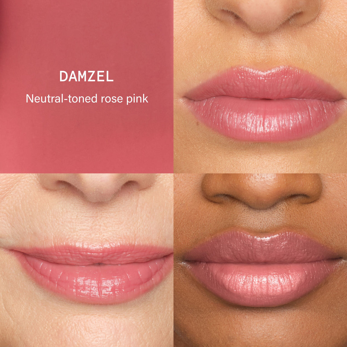 Damzel - SHADES