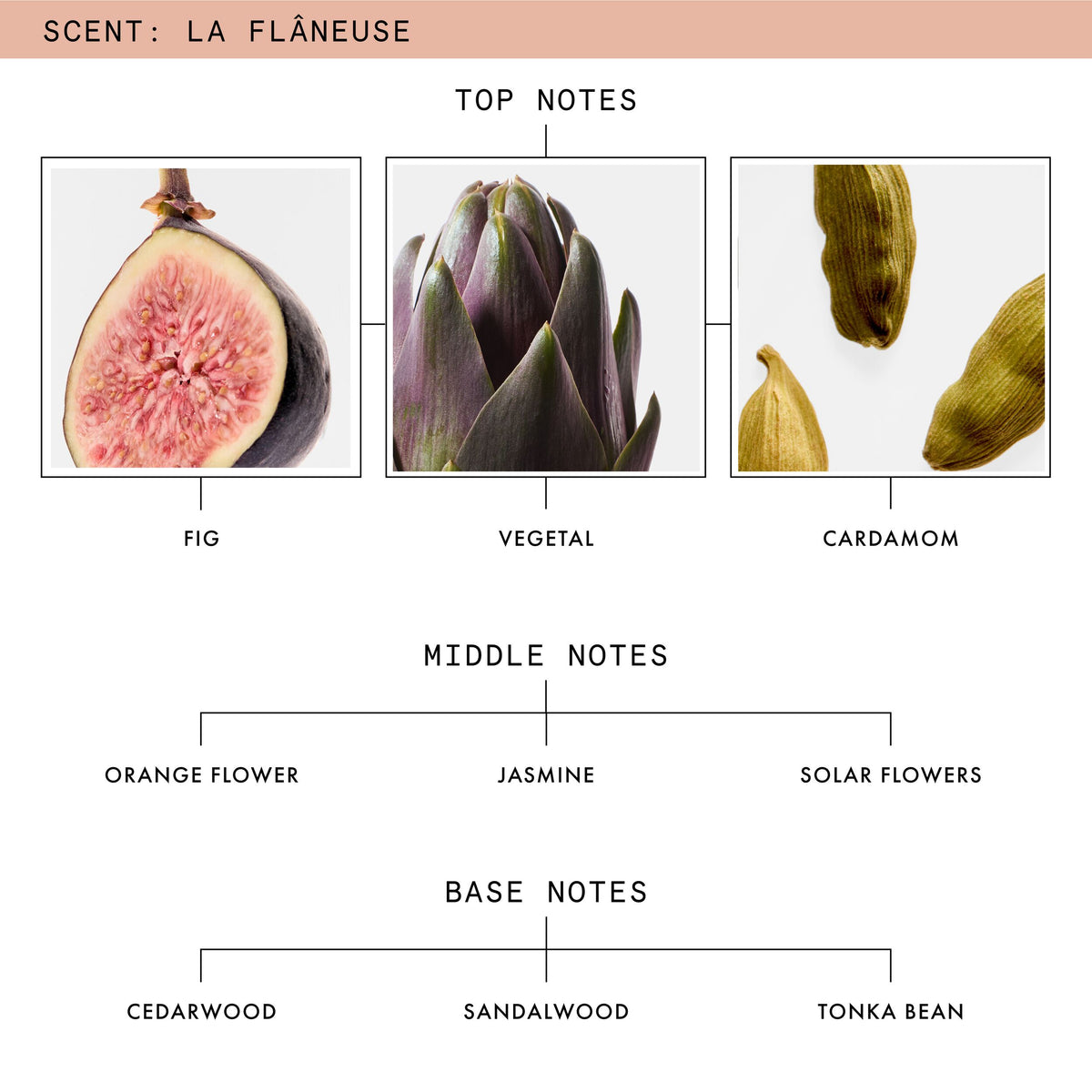 La Flaneuse Ingredients