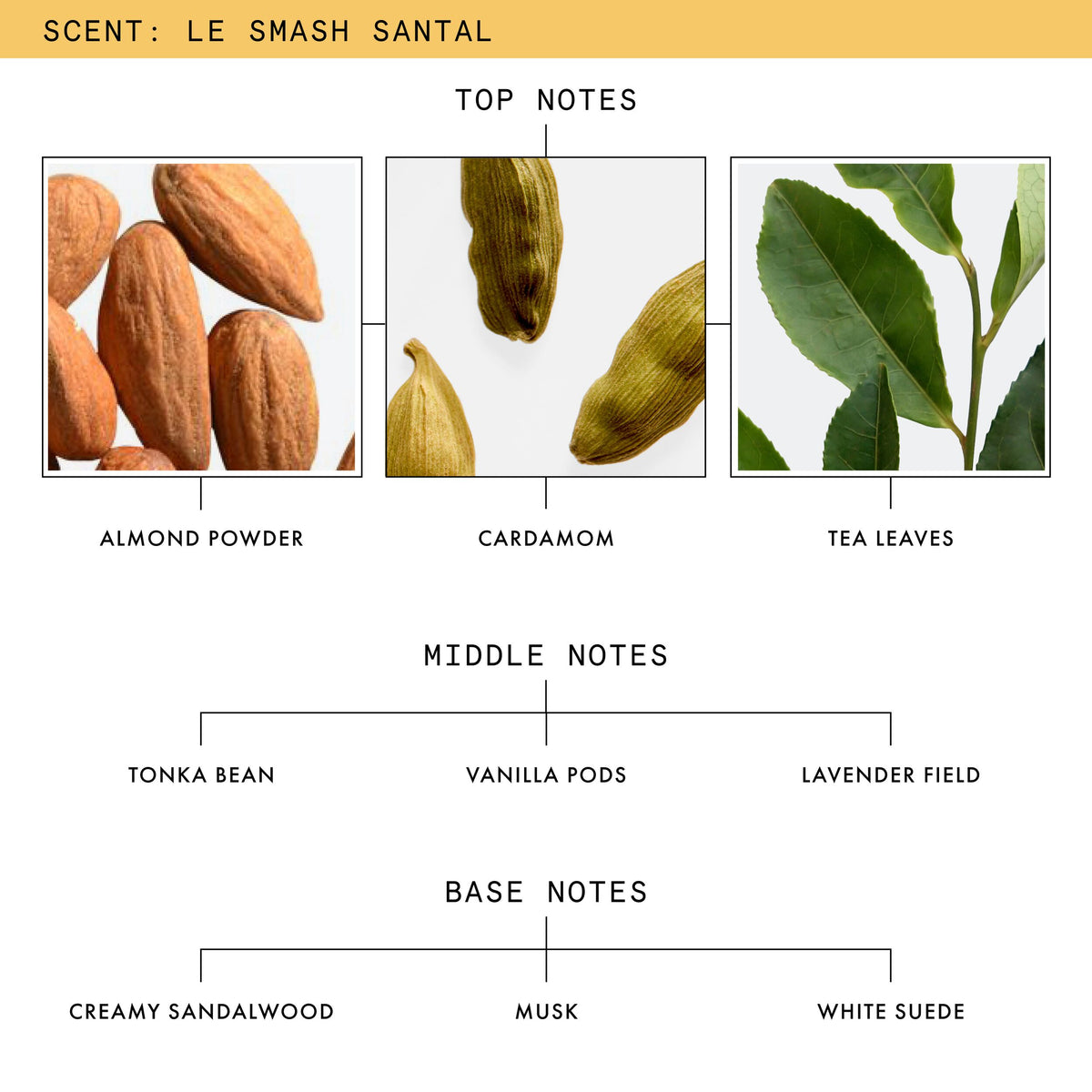 Le_Smash_Body_Creme_75222_PDP_1X1_ECOM_SCENT_NOTES_2026_WEB