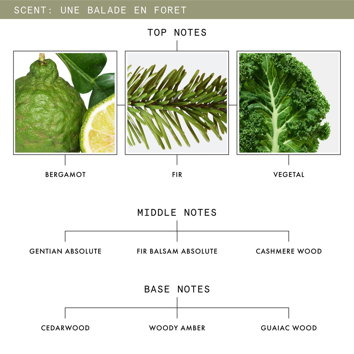 Une Balade En Foret - ingredients