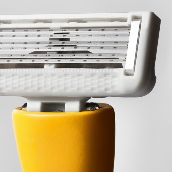 the_perfect_razor_mango_199241_CSL_macro_WEB